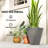 Kise Pot Planter-323524642-322665829