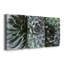Zen Succulent I - Ensemble de 3 reproductions sur toiles tendues-360759065