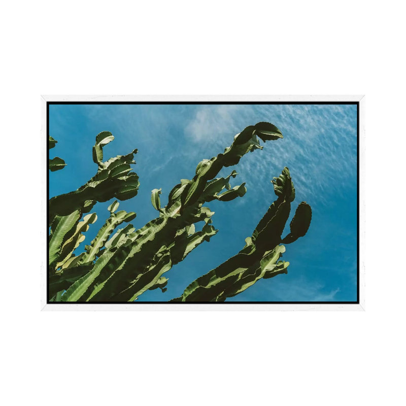 Cactus Sky III 1 Piece Wall Art on Canvas, 45.72cm H x 66.04cm W x 3.81cm D, White Framed