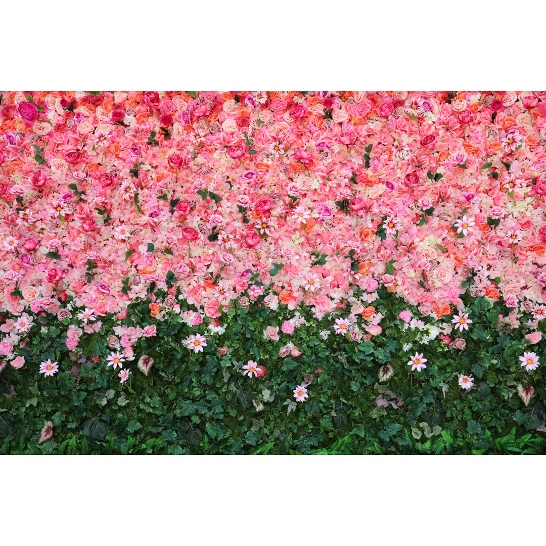 Blumenwand von Tolgart - Druck