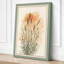 Ornamental Grass Study Botanical - Wrapped Canvas-5136496-5136501