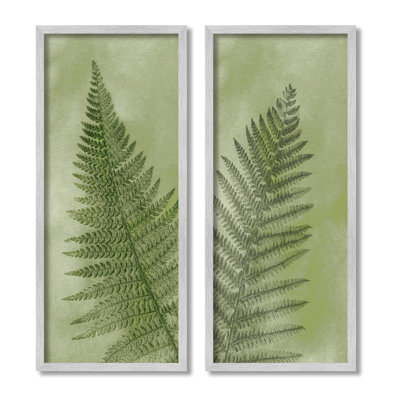 «Woodland Nature Fern Leaves», ensemble de 2 giclées encadrées par Ziwei Li