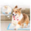 Tapis pour chien (ensemble de 50)