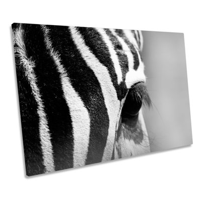 Zebra Black White Stripes Wildlife - Wrapped Canvas Art Prints