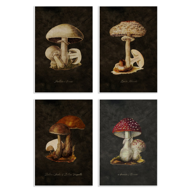 "Mushroom Genus Study", art mural par Tina Higgins Designs, Inc., H 19 po x l 13 po