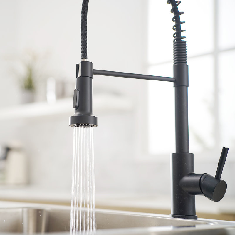 GAWEZA Kitchen Faucet, Black