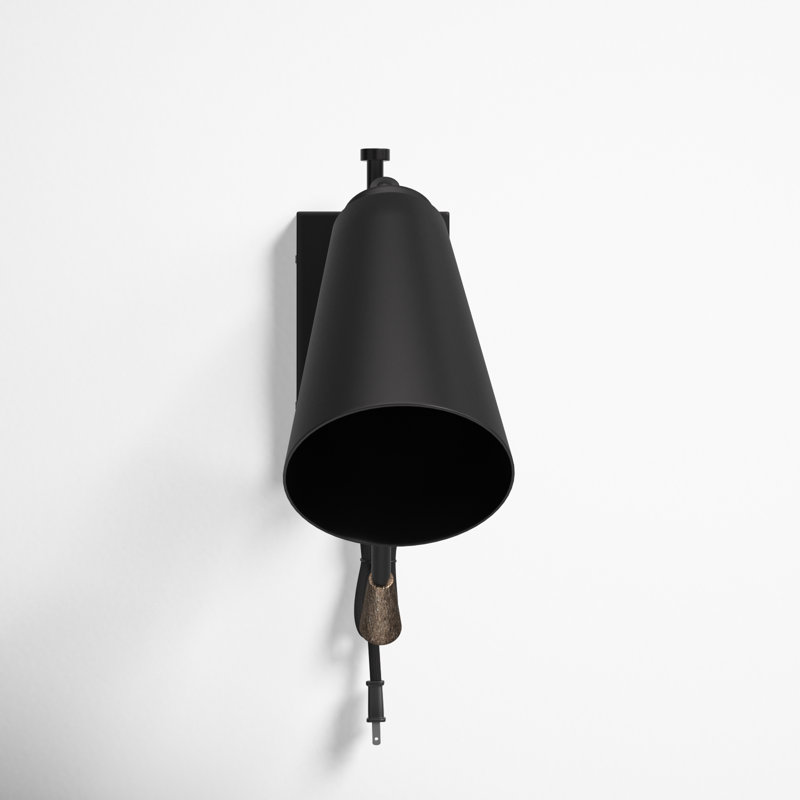 Robby Plug-in Swing Arm Sconce
