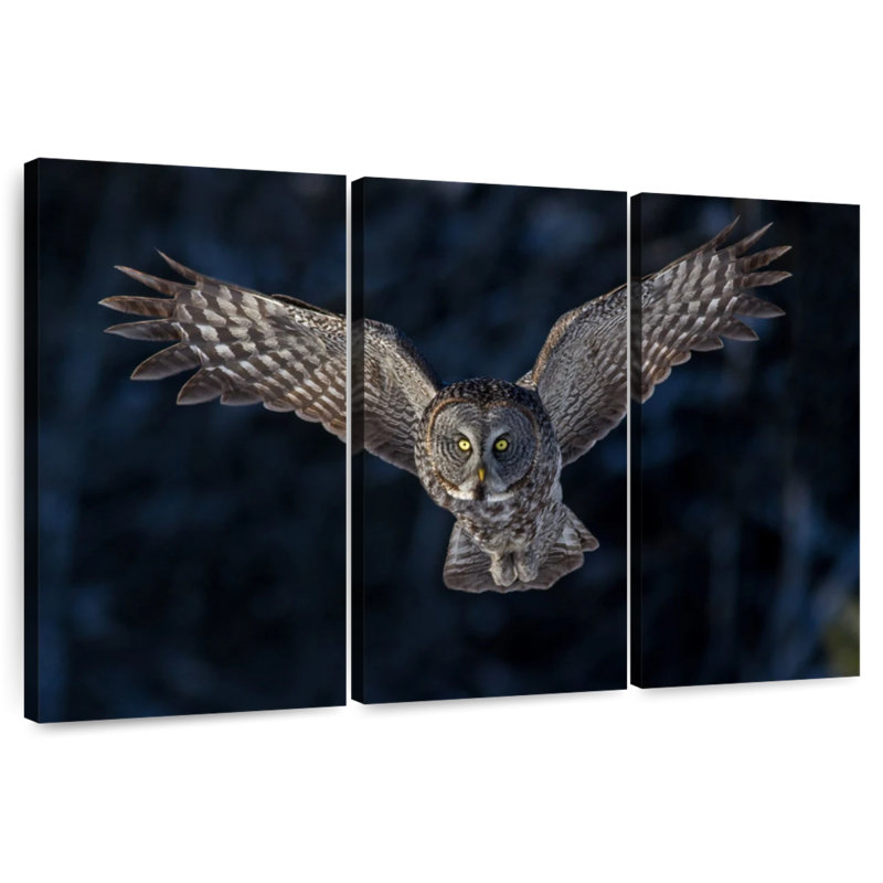 Brampt Flying Gray Owl, 42" H x 65" W