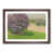 Walnut Framed selected