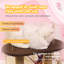 Grattoir double pour chat