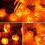 Indoor / Outdoor Lights