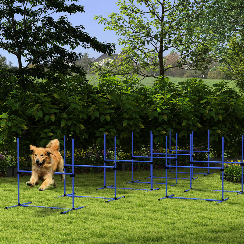 Équipement de dressage d'agilité pour chien 8 pièces avec barres réglables, couleur bleue, sac de transport pour garder en place l'ensemble de rangement pratique pour sauter à la maison