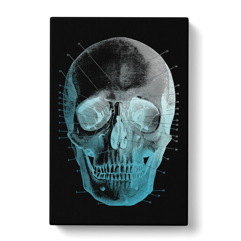 Black Twilight Skull - Wrapped Canvas Painting, 76cm H x 50cm W x 3cm D