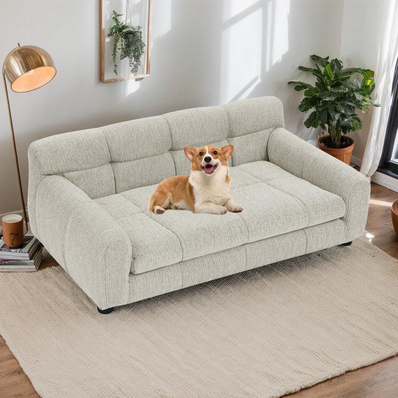 Canapé pour animaux de compagnie , Beige