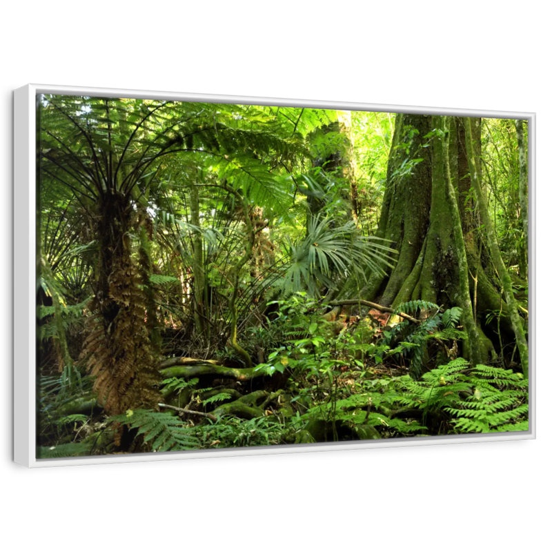 Jungle Ferns Forest, Cadre flottant blanc, 31 po x 21 po
