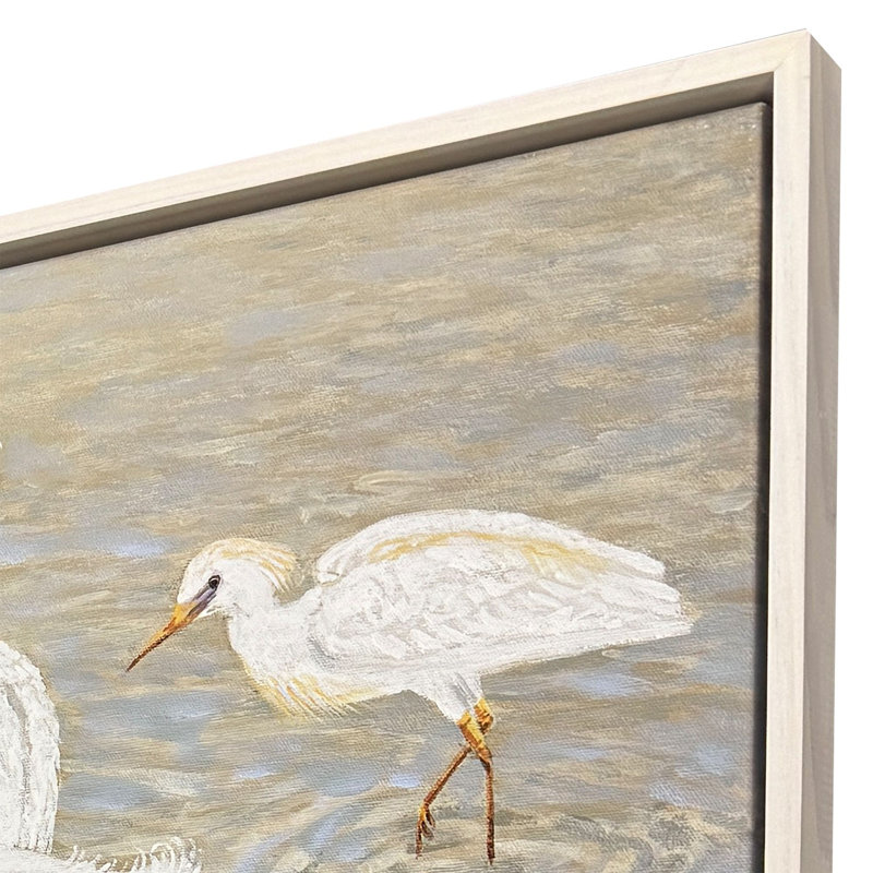 Herons and Egrets Canvas