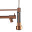 Belfry Kitchen Marhta Kitchen Faucet-1008864096