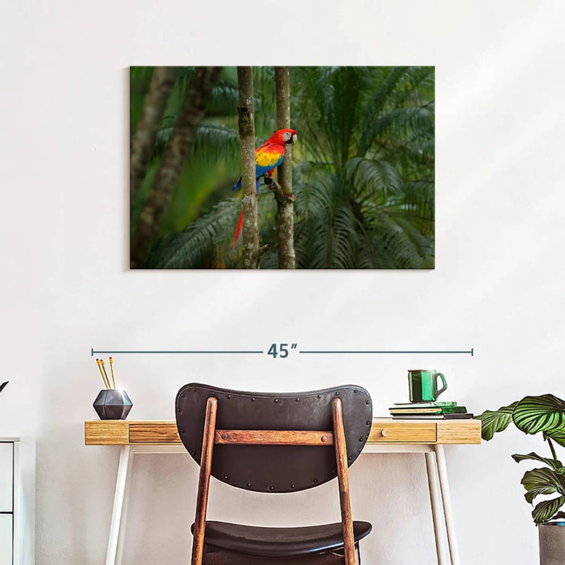 Brampt Wild Scarlet Macaw, 24" H x 36" W