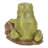 Tree Frog