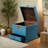 Do Old Solid Colour Pine Wood Small Accent Trunk