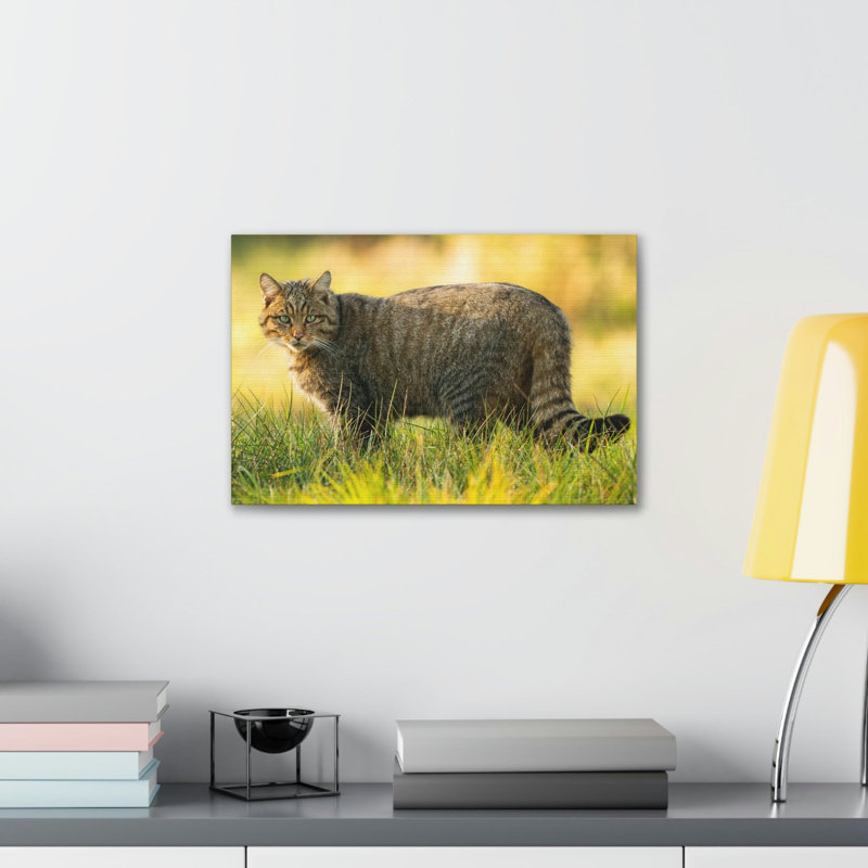 Art mural majestueux, impression de chat sauvage, H 12 po x l 18 po