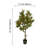 47'' Orange Tree in Vase