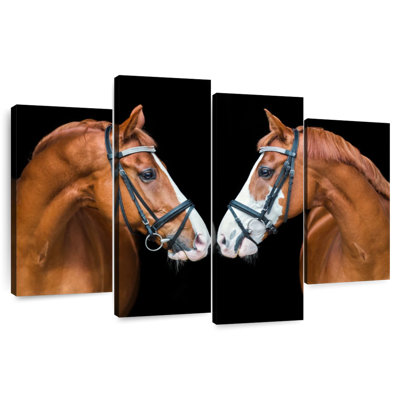 Chevaux nez à nez