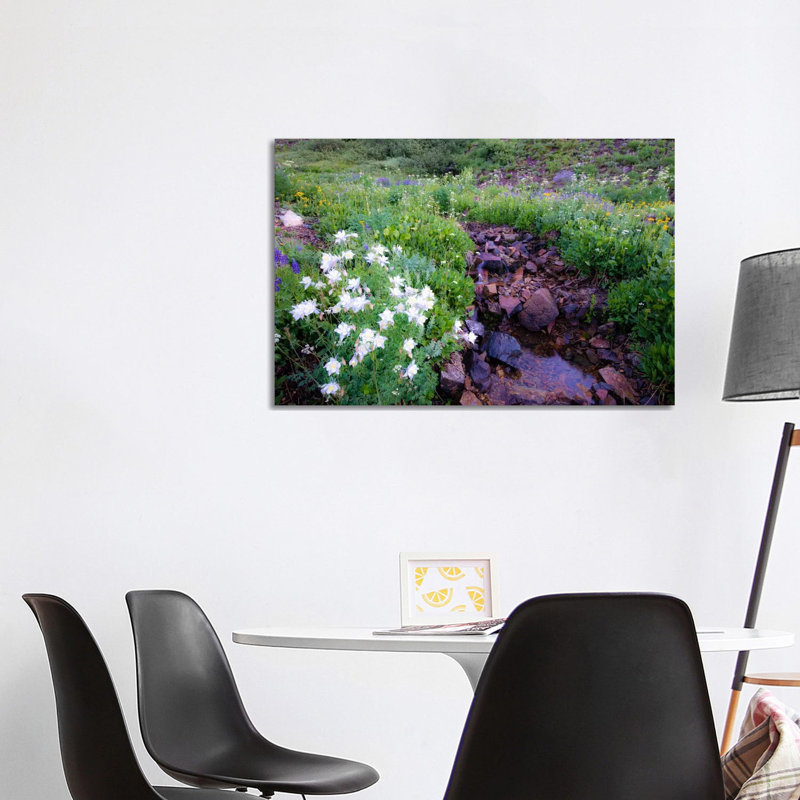 Field Of Beauty 2 by Dan Ballard - Wrapped Canvas Gallery-Wrapped Canvas Giclée