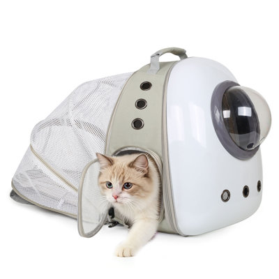 Sac à dos de transport rigide à coque bombée avec fenêtre transparente pour chiots et chats jusqu'à 5,4 kg, rallonge dorsale