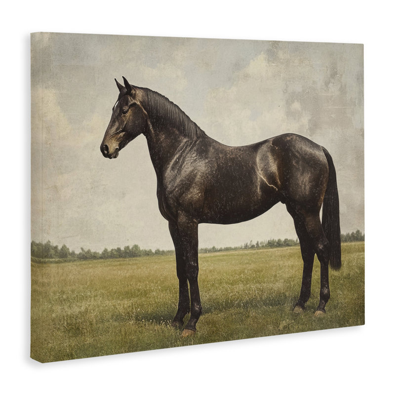 Toile espresso avec portrait de cheval, design par Petal Prints Design, H 36 po x l 48 po
