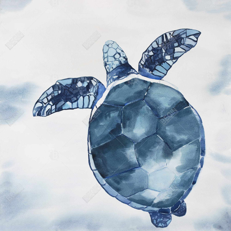 " Watercolor Blue Turtle "