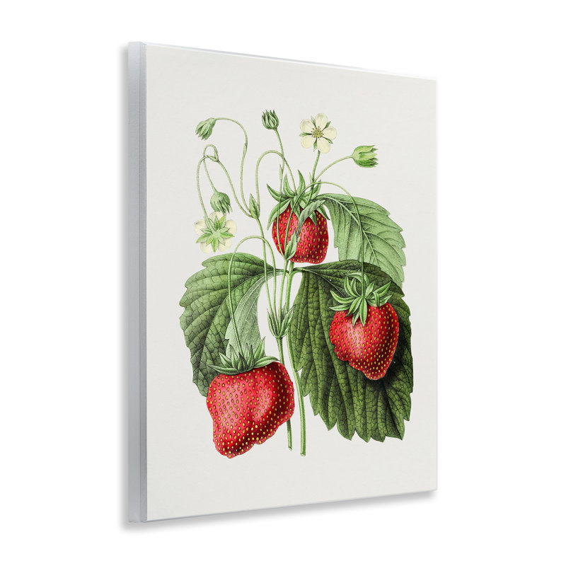 «Vintage Strawberries Study», art mural par lettres et lignes