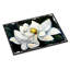 Tapis d'extérieur anti-dérapant NIpinnawasee Sweet Magnolia-326407882
