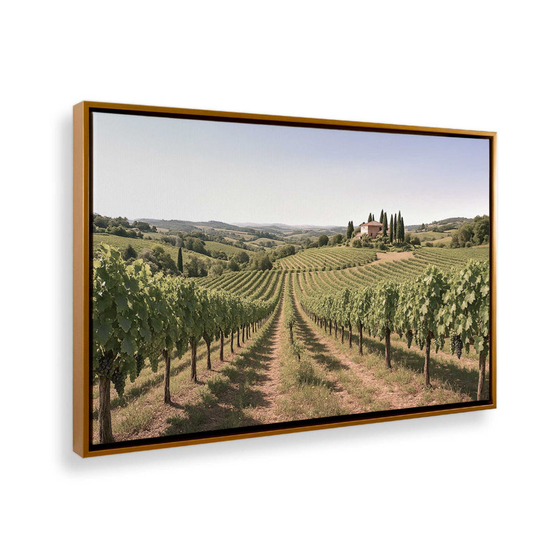Sunlit Tuscan Vines, reproduction sur toile, 32 po x 48 po, Cadre flottant doré poli