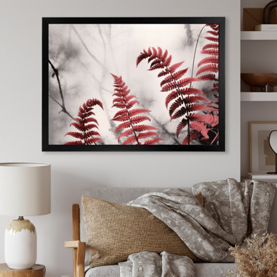 " Red Grey Fern Flowers Fonds "