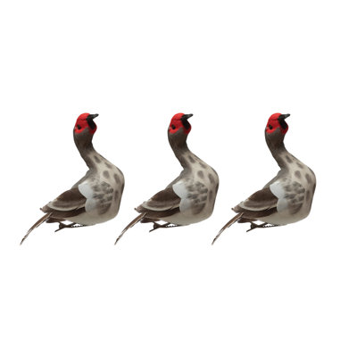 Ornement suspendu Muscovy Duck