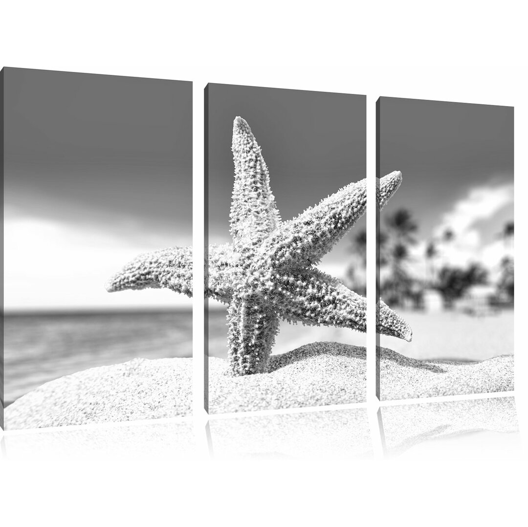 3-tlg. Leinwandbilder-Set „Seestern am Sandstrand von Palm Beach“, Fotodruck