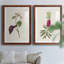 Pretty Pink Botanicals VI - Ensemble de 2 reproductions de cadres photo-1481787813-1481787815