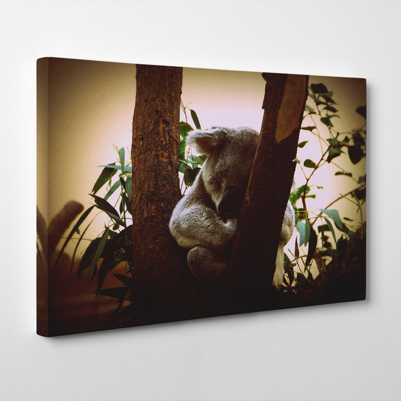 Wrapped Canvas Print, 35cm H x 50cm W