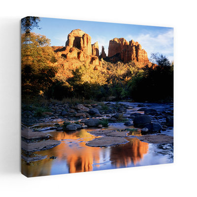 Cathedral Rock Sedona Az Usa Abstract Contemporary Oak Landscape Tree Art