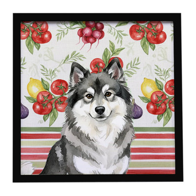 Keeshond Vegetables Framed Metal Print