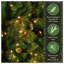 Carolina Flocked/Frosted Christmas Tree-1687330706