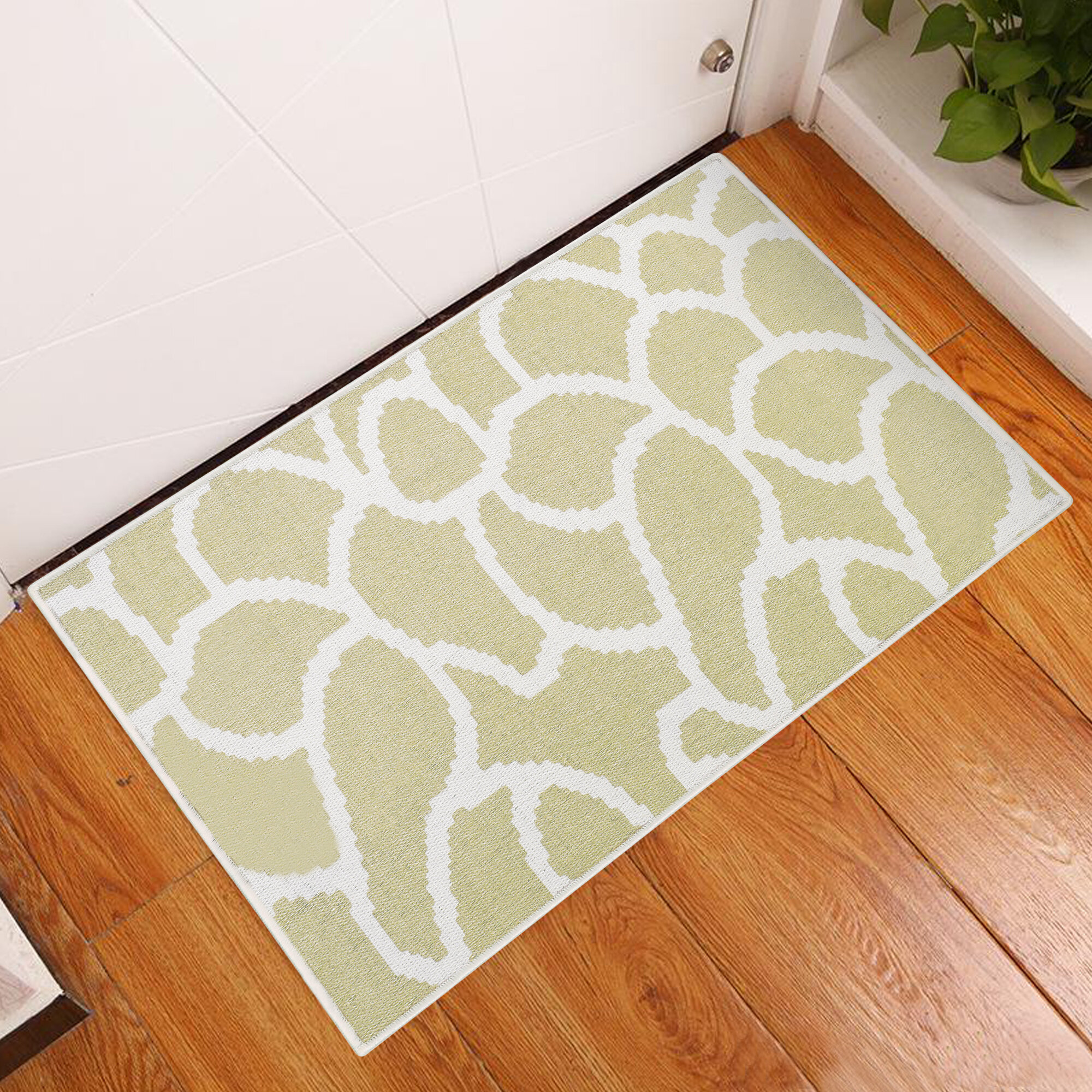 https://assets.wfcdn.com/im/89485770/compr-r85/1504/150454012/dibri-non-slip-outdoor-doormat.jpg