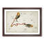 Astronomical Zodiac Chart Of The Pisces - Single Picture Frame Painting-57844184-57844183