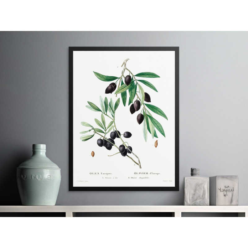 Melissa No Frame Print, 24x32