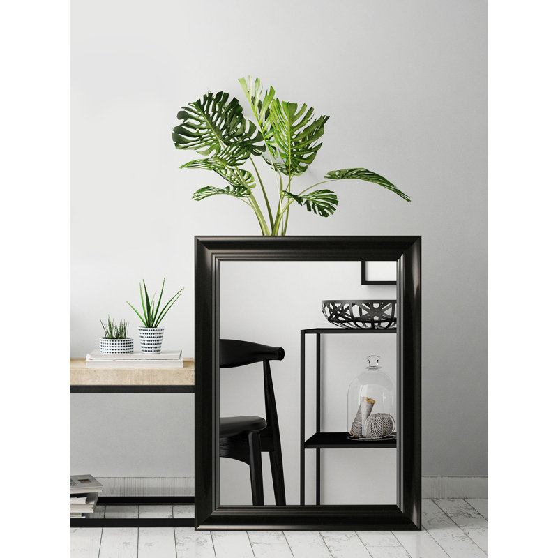 Isaacs Plastic Flat Leaning Mirror, 182 cm H x 72 cm W, Black