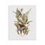 Plaque murale «Butterfly Grove Forest Greenery» par House Fenway