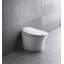 Dual-Flush Elongated Bidet Toilet (Seat Included)