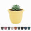 Pot à fleurs intérieur / extérieur Traditional-927975567-867405338
