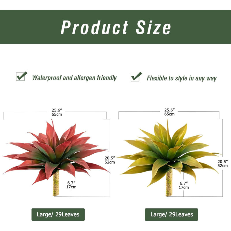5.91cm Plant